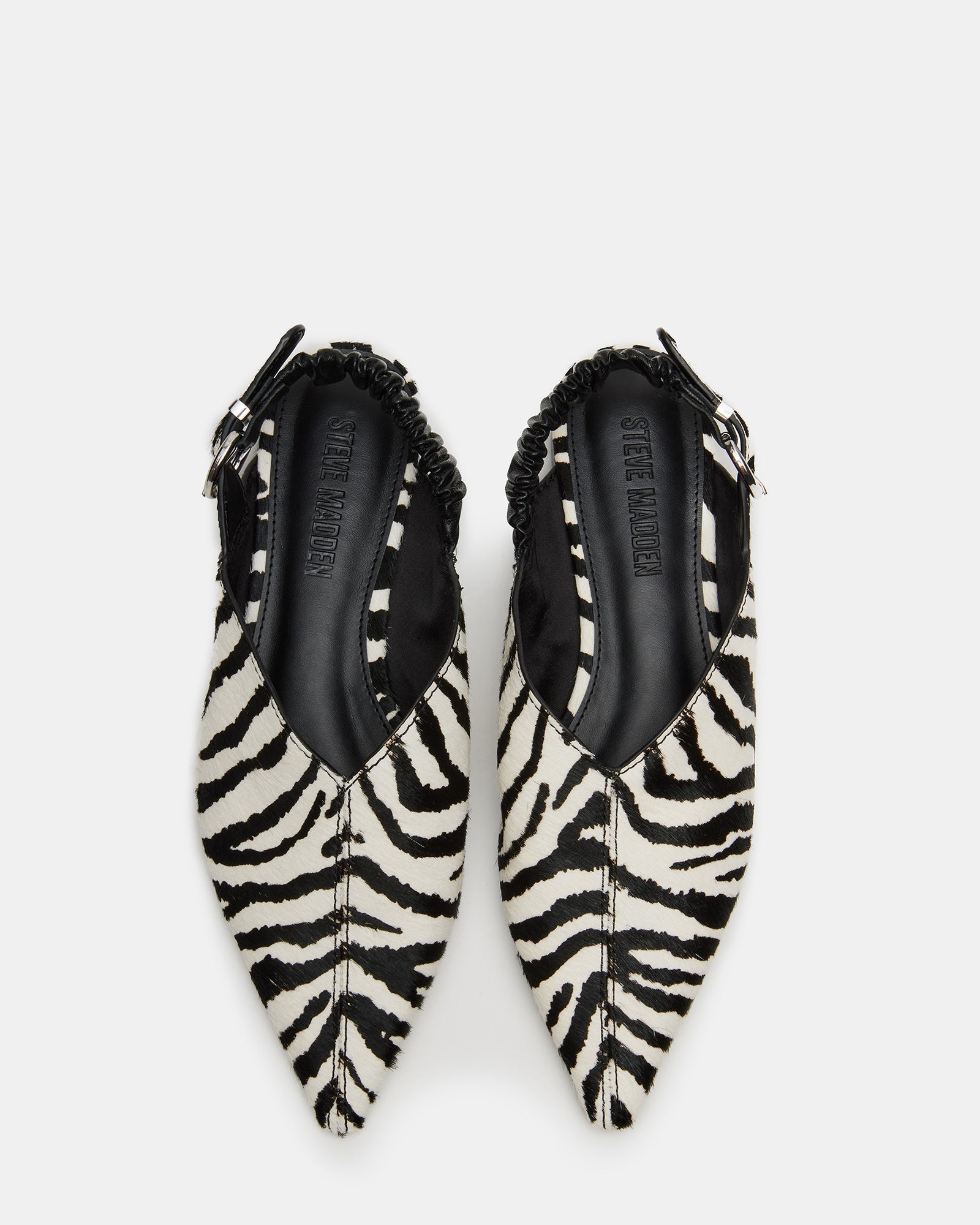 ZELLA ZEBRA - SM REBOOTED